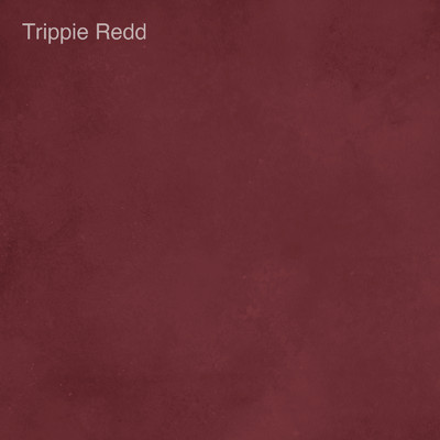 Trippie Redd/Grey October Sound & JP Anime