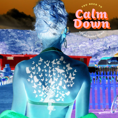 You Need To Calm Down/Taylor Swift