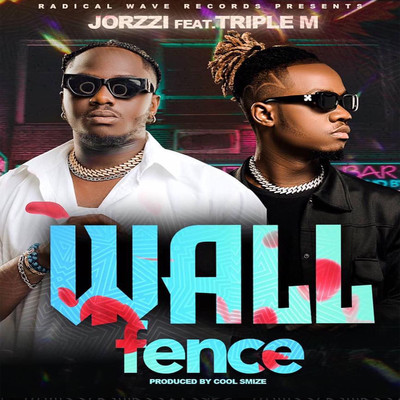 WALL FENCE (feat. TRIPLE M)/JORZZI
