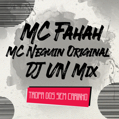 DJ VN Mix, MC Neguin Original & MC Fahah