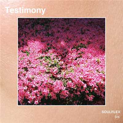 Testimony/Soulflex