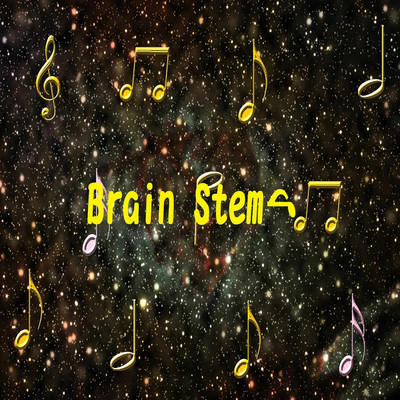 アルバム/Brain Stem/Quadrigeminal Bodies