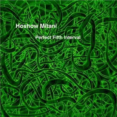 アルバム/Perfect Fifth Intervals/三谷 峰生