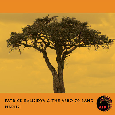 アルバム/Harusi/Patrick Balisidya & Afro 70 Band