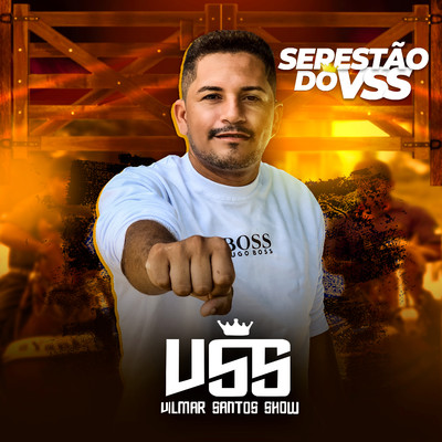 Desapaixonou (feat. Sirleide Carvalho)/Vilmar Santos Show