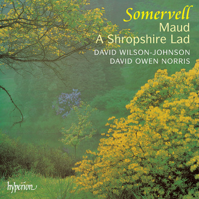Somervell: A Shropshire Lad: VII. White in the Moon the Long Road Lies/David Owen Norris／デイヴィッド・ウィルソン=ジョンソン