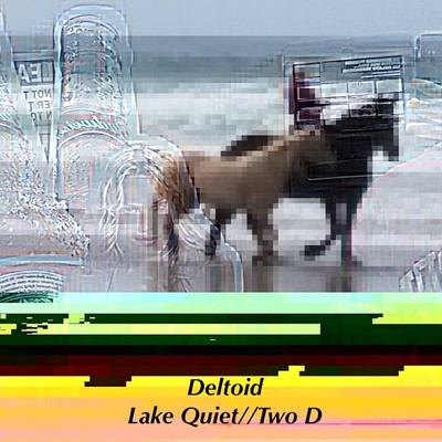 アルバム/Lake Quiet ／ Two D/Deltoid