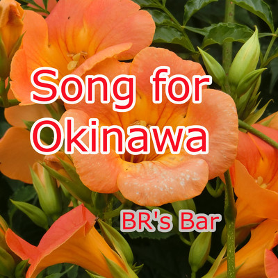シングル/Song for 沖縄/BR's Bar