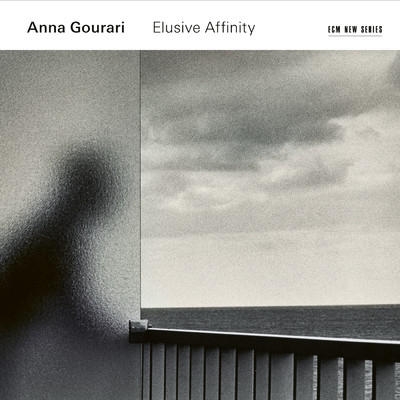 Elusive Affinity/Anna Gourari