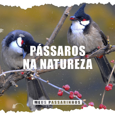 アルバム/Passaros na Natureza/Meus Passarinhos