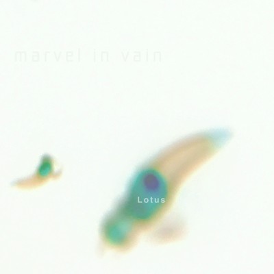 シングル/Lotus/marvel in vain