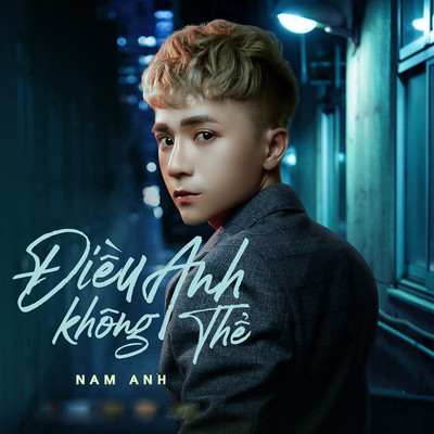 アルバム/Dieu Anh Khong The/Nam Anh