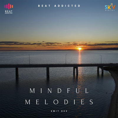 Mindful Melodies/Amit Dev