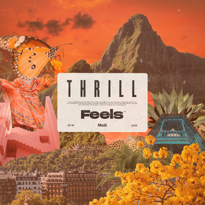 Thrill (Explicit) (featuring Melii)/Feels