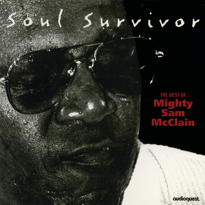アルバム/Soul Survivor: The Best of Mighty Sam McClain/Mighty Sam McClain