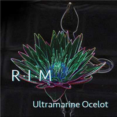 シングル/RIM/Ultramarine Ocelot