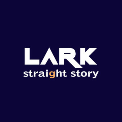 アルバム/straight story/LARK