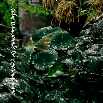Calm Rain sounds & Emotional piano/ALL BGM CHANNEL & Sound Forest