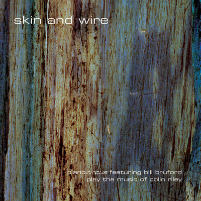 Skin and Wire/Piano Circus