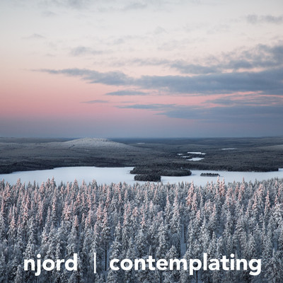 アルバム/Contemplating/Njord