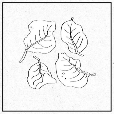 アルバム/Four Leaves/Piezoluminescence, Tamuraryo, mippopotamus