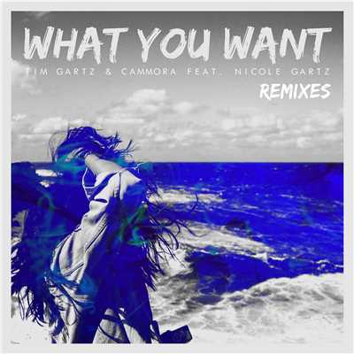 What You Want  (feat. Nicole Gartz) [Remixes]/Tim Gartz & Cammora