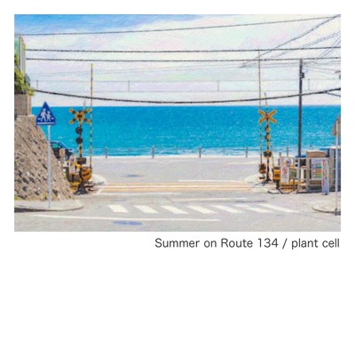 Summer on Route 134/plant cell