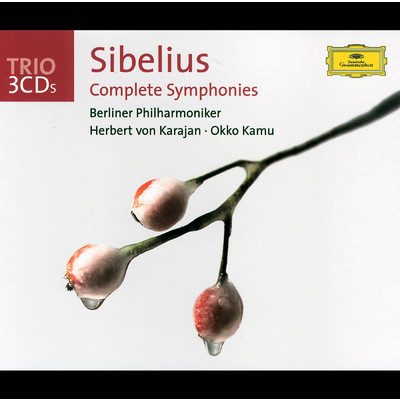 Sibelius: 交響曲 第3番 ハ長調 作品52: 第2楽章: Andantino con moto, quasi allegretto/ヘルシンキ放送交響楽団／オッコ・カム