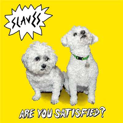 Are You Satisfied？/Slaves