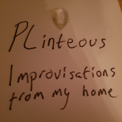 アルバム/Improvisations From My Home/PLinteous