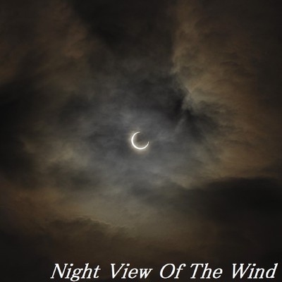 Night View Of The Wind/TandP