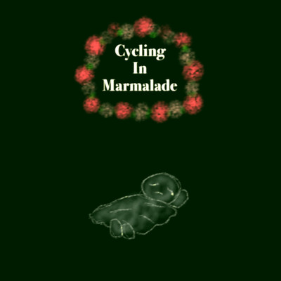 Christmas You Don't Believe/Cycling In Marmalade