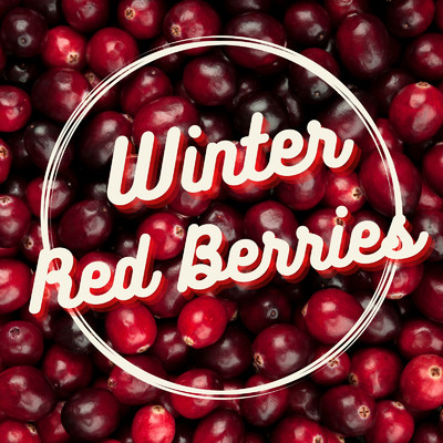 Winter Red Berries/Relaxing Piano Crew