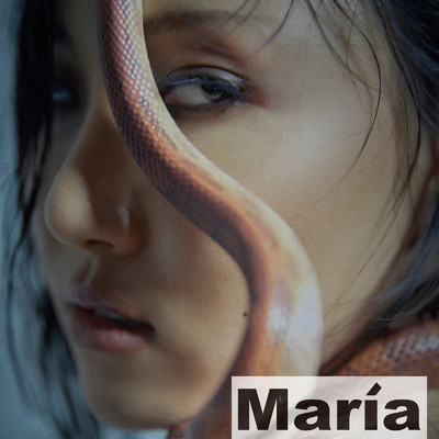 アルバム/Maria/Hwa Sa