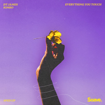 シングル/Everything You Touch (Sped Up)/DT James & Kimbo