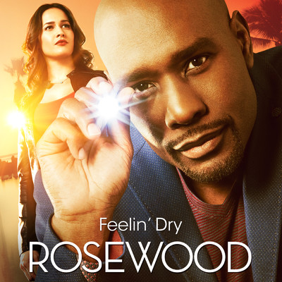 シングル/Feelin' Dry (From ”Rosewood”)/Rosewood Cast
