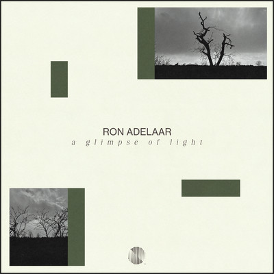 シングル/A Glimpse Of Light/Ron Adelaar
