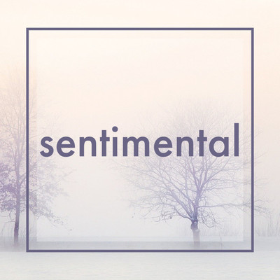 シングル/sentimental/G-AXIS