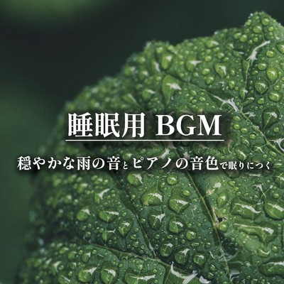 アルバム/睡眠用BGM 穏やかな雨の音とピアノの音色で眠りにつく/ALL BGM CHANNEL & Sound Forest
