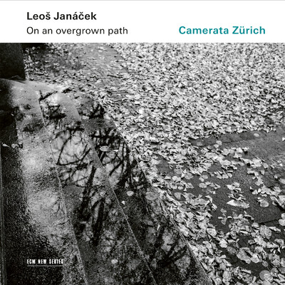 Janacek: On An Overgrown Path (Po zarostlem chodnicku), JW 8／17 - Arr. Rumler for String Orchestra ／ Book I - 8. Unutterable Anguish/Camerata Zurich／Igor Karsko