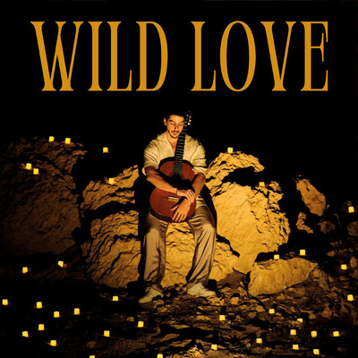 Wild Love/Danny Aridi