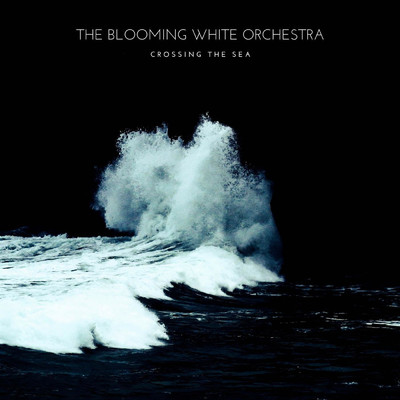 Crossing the Sea/The Blooming White Orchestra／Wilson Trouve