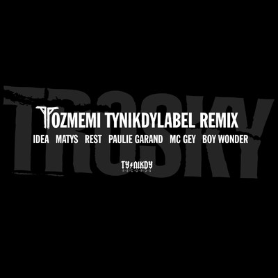 シングル/Tozmemi (Remix)/Ty Nikdy