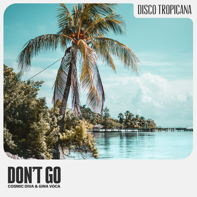シングル/Don't Go (Extended Mix)/Cosmic Diva & GINA VOCA