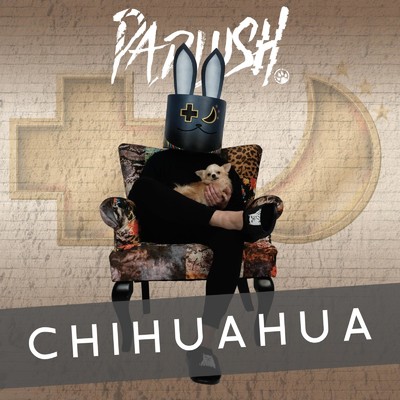 Chihuahua/PADLUSH