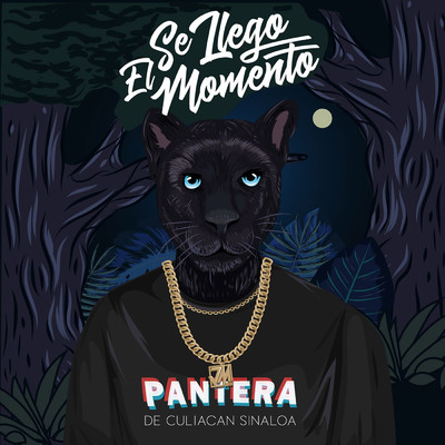 アルバム/Se Llego El Momento/Pantera De Culiacan Sinaloa