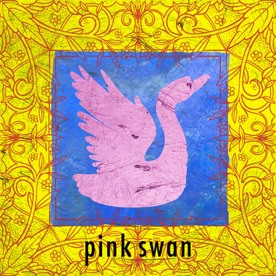 Cygnet/Pink Swan
