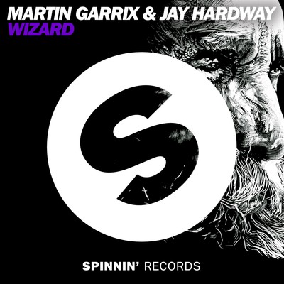 シングル/Wizard/Martin Garrix／Jay Hardway
