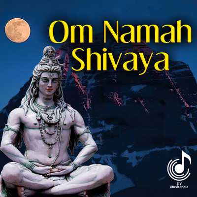 Om Namah Shivaya/Parthasarathy