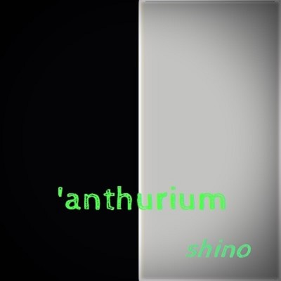 アルバム/anthurium/SHINO